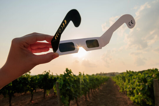 Hand holding certified solar eclipse viewing glasses against the bright sun in a vineyard landscape at sunset. The protective eclipse glasses are silhouetted by warm sunlight.