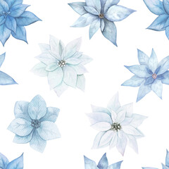Obraz premium Christmas seamless pattern. Hand drawn waterrcolor illustration with poinsettia on white background. Winter flowers