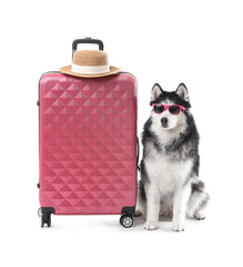Siberian husky dog wearing pink sunglasses sitting next to a pink suitcase with a straw hat, travel and vacation, this image themes of adventure leisure and companionship © Pixel-Shot