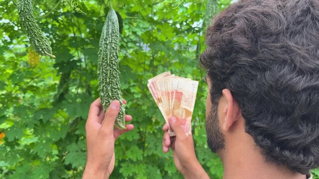 A farmer holds a fresh bitter melon on the vine while displaying a fan of currency notes.
