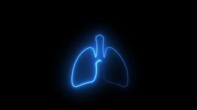 The appearance of the neon glowing symbol lungs. neon human Lungs icon animation. Human respiratory system, lungs, anatomy, lungs icon with black.neon human Lung and kidney icon animation. Glowing.HD