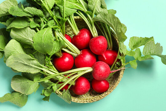 Wicker bowl with ripe radish on turquoise background