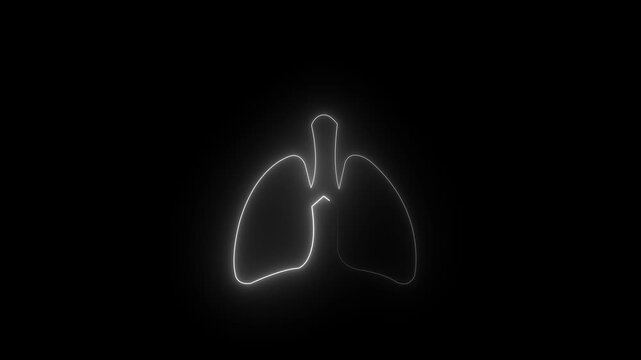 The appearance of the neon glowing symbol lungs. neon human Lungs icon animation. Human respiratory system, lungs, anatomy, lungs icon with black.neon human Lung and kidney icon animation. Glowing.HD