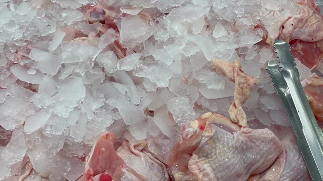 Assortment of fresh raw chicken meat parts displayed at market