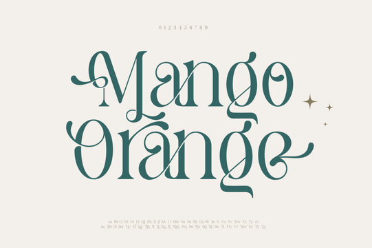 Elegant Font Uppercase Lowercase and Number. Classic Lettering Minimal Fashion Designs. Typography modern serif fonts regular decorative vintage concept. vector illustration