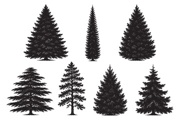 Obraz premium Alpine Spruce and Pine Conifer Trees Elevation CAD Line Art Silhouettes for Landscape Architecture