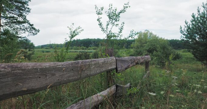 Smooth camera pan over an old timber fence and forest under overcast sky