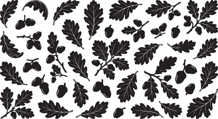 Fototapeta premium Collection of hand drawn oak leaves and acorns isolated on a white background design element
