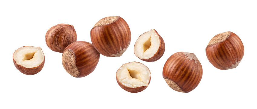 Falling hazelnuts whole and halved isolated on transparent background
