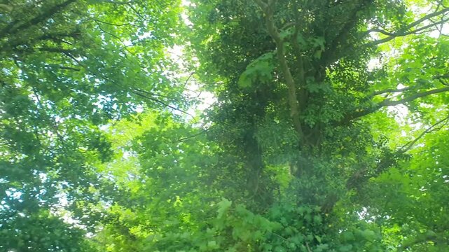 7th June, 2026. Time Lapse Footage of Travel on English Roads Travel Through Rural A and B Countryside. Car Window Mounted Camera Wide Angle Footage of Car Travel on British Country Road and Highways 