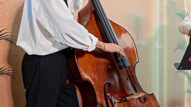 Musician playing double bass in concert, Classical Musical Instrument, Theatrical Performance, Jazz Music Band, Stage Bassist