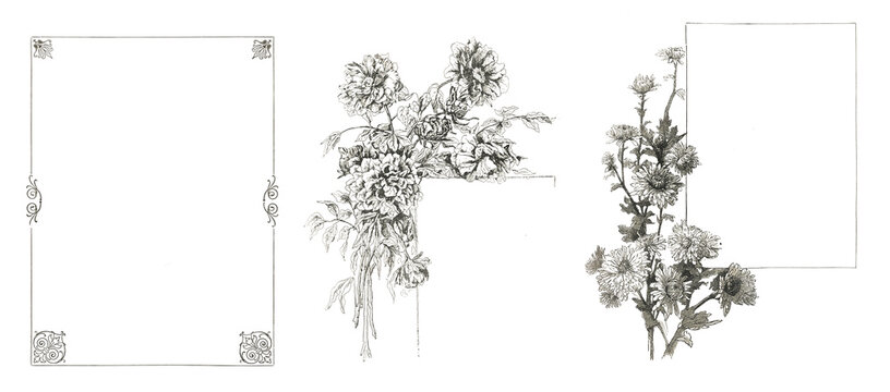 Set of vintage decorative floral line frames isolated on transparent background. Vintage ornamental borders for text, invitations, certificates, manuscripts and graphic design