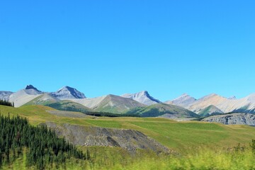 Obraz premium Canadian Rocky Mountains beneath a brilliant blue summer sky