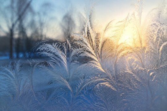 Frosted windowpane with feather-like ice patterns in morning light.