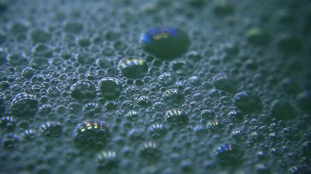 Mesmerizing close-up footage of shimmering soap bubbles. Colorful foam creates a beautiful, abstract background with a cellular-like pattern