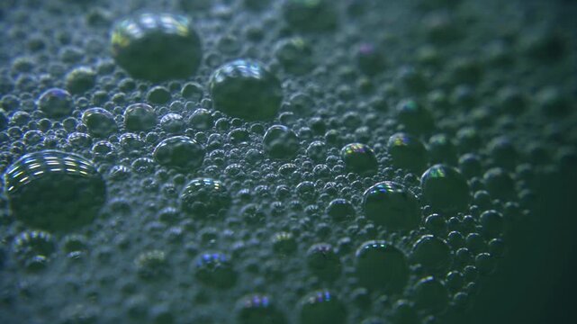 Dark green soap foam with many bubbles slowly moving. A macro shot captures the intricate details and iridescent colors of the sudsy texture
