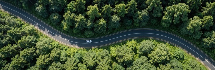 Obraz premium Aerial view of winding asphalt highway through dense green forest. Single white car travels along curved road surrounded by trees. Nature travel concept shows sustainable mobility transportation path