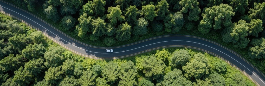 Aerial view of winding asphalt highway through dense green forest. Single white car travels along curved road surrounded by trees. Nature travel concept shows sustainable mobility transportation path