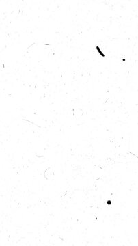 Weathered analog television broken signal interference, static noise, scan line distortion, vintage broadcast glitches, seamless overlay for creative video editing, phone screen white background. 4k