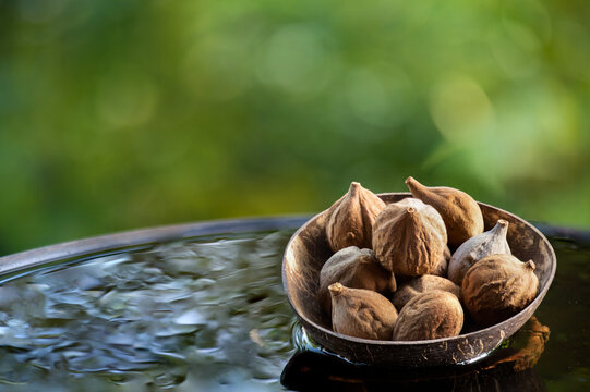  Terminalia bellirica or Beleric Myrobalan fruits placed on floating vessel against natural backdrop.