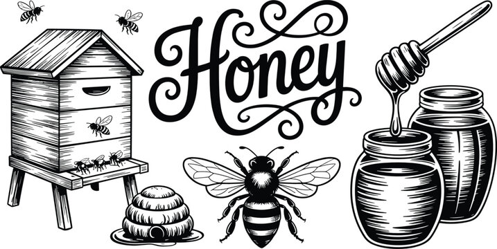 Vintage honey elements flat vector illustration. Detailed wooden beehive, glass jars, honey dipper, flying bees, and cursive lettering showcase classic retro engraving elements.