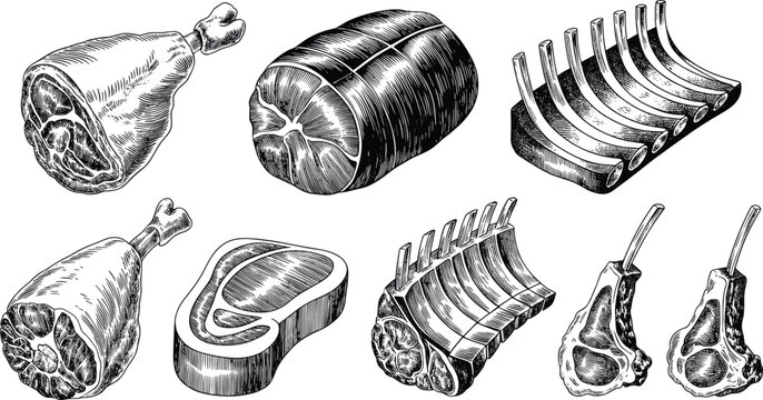 Meat cuts flat vector illustration. Ribs, ham legs, steak, roast, and lamb chops present a detailed retro butcher menu selection.