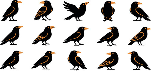 Naklejka premium Collection of various black bird illustrations featuring crows ravens and starlings in different poses on white background