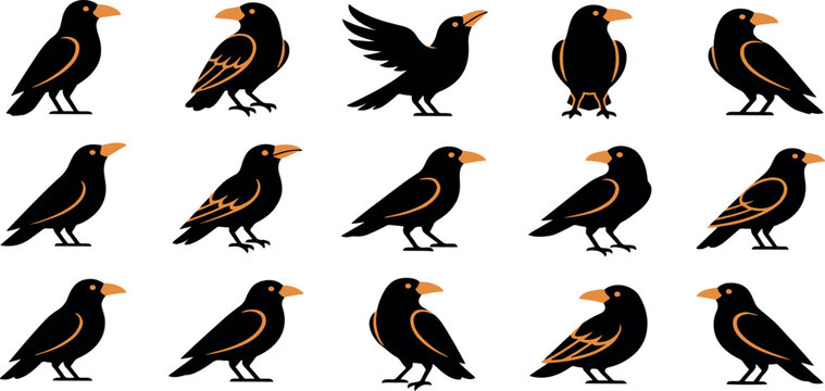 Collection of various black bird illustrations featuring crows ravens and starlings in different poses on white background