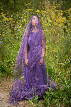 art portrait of young asian woman in a forest in purple dress with thin shiny fabric
