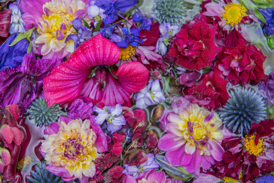 colorful floral tapestry with handpicked summer flowers from garden background