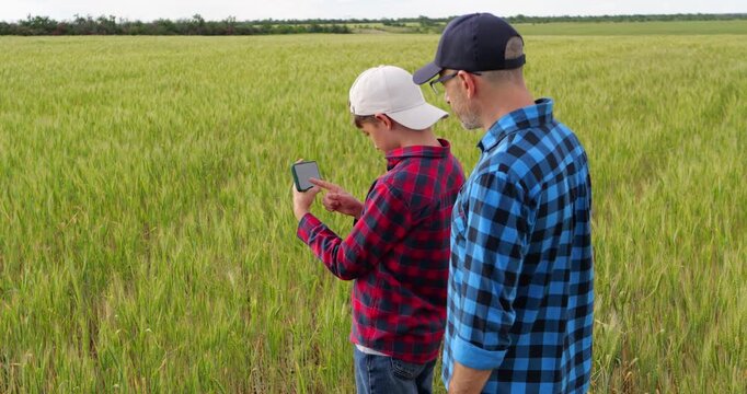 Farmers inspect crops using smartphone technology. Father and son analyze agricultural data in lush green field. Modern farming practices enhance productivity and sustainability.
