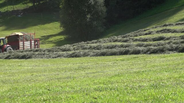 Heuernte auf einer Bergwiese, Fusch an der Grossglocknerstrasse, Salzburg, &Ouml;sterreich