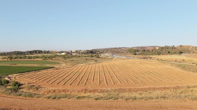 Aerial view of harvested wheat fields with golden furrows next to green cultivated plots and rural settlement on hill in Israel