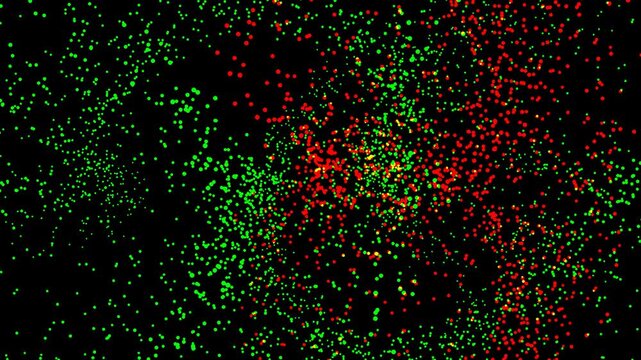 Fluorescence microscopy captures vibrant cell nuclei with distinct components in multicolored patterns for biological studies or scientific presentations.