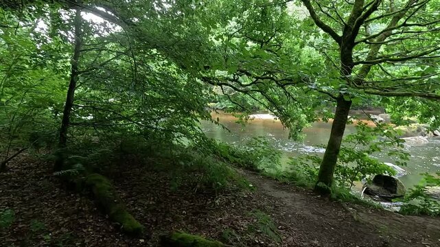 La rivi&egrave;re du L&eacute;guer &agrave; Tonqu&eacute;dec en Bretagne
