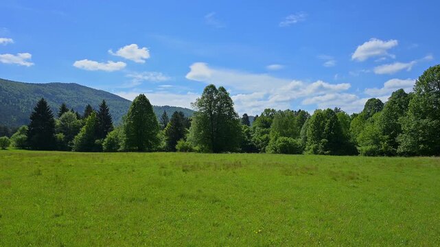 Idyllische Wiese mit B&auml;umen und H&uuml;geln unter blauem Himmel mit wenigen Wolken, Markovec, Inner Carniola, Slowenien