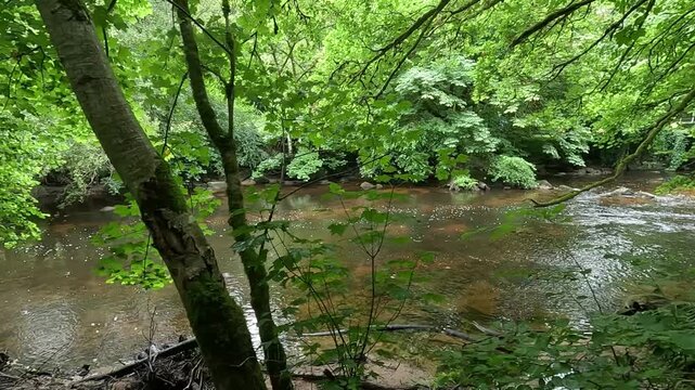La rivi&egrave;re du L&eacute;guer &agrave; Tonqu&eacute;dec en Bretagne
