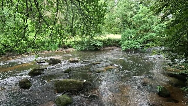 La rivi&egrave;re du L&eacute;guer &agrave; Tonqu&eacute;dec en Bretagne