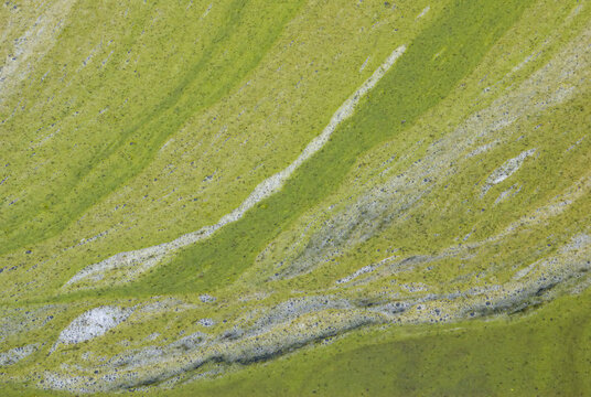 Algal bloom below small dam at Indiana Refuge reservoir