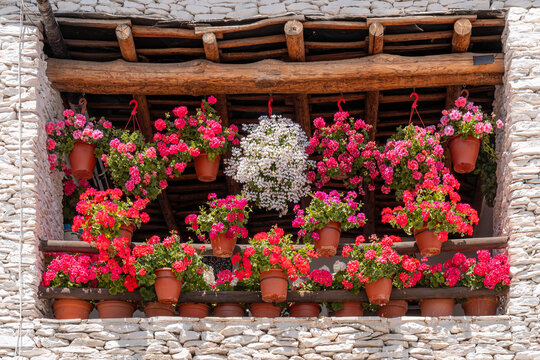 Rustic balcony with hanging geranium flower pot display