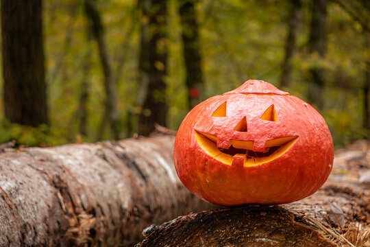 Smiling jack-o'-lantern in autumn forest setting