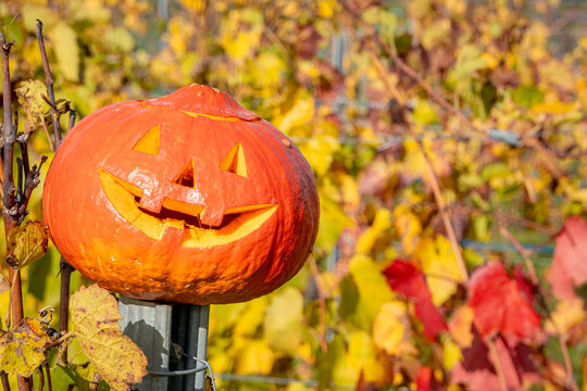Jack-o'-lantern with autumn leaves background