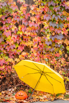 Yellow umbrella and jack-o'-lantern in autumn scene