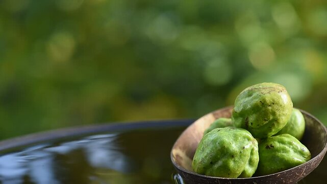 Terminalia chebula or Chebulic Myrobalans fruits placed on floating vessel against natural backdrop.