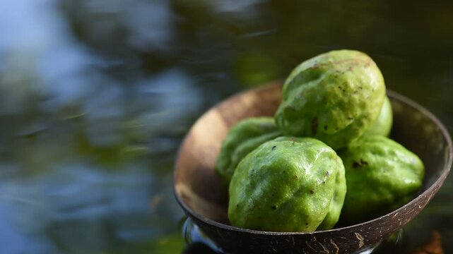 Terminalia chebula or Chebulic Myrobalans fruits placed on floating vessel against natural backdrop.