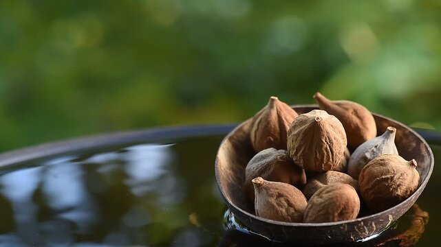  Terminalia bellirica or Beleric Myrobalan fruits placed on floating vessel against natural backdrop.