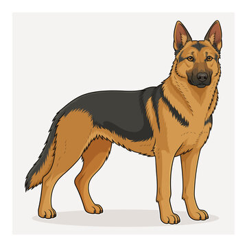 German Shepherd Dog Character Isolated Cartoon Vector Illustration