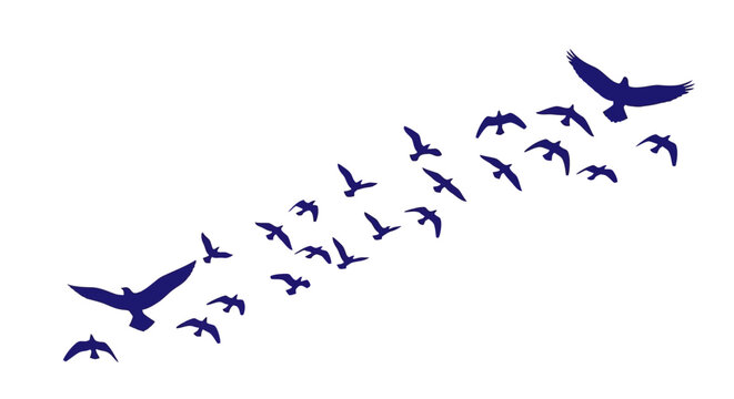 Blue silhouettes of a flock of migratory birds flying in the sky vector illustration isolated on white