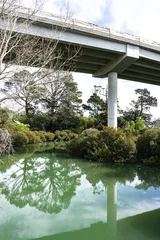 Reflections of cantilevered roading infrastructure above natural vegetation in Oakley Creek and inlet in Waterview Reserve. © Brian Scantlebury