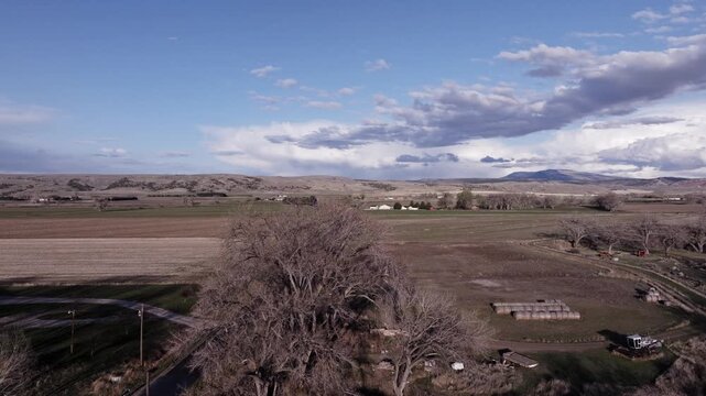 Aerial View of Agricultural Fields and Farms on the Rural Plains of Bridger, Montana